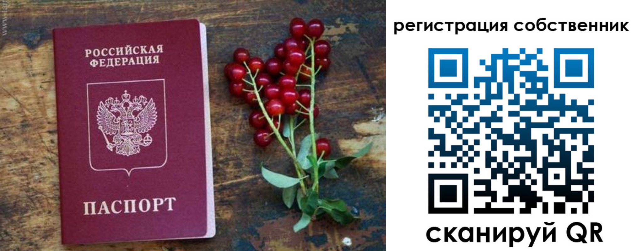 регистрация для дет. сада в Елабуге